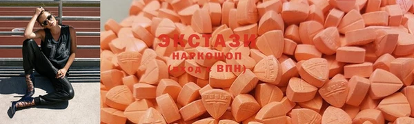 стаф Алзамай