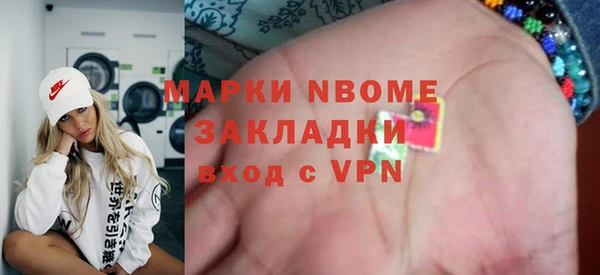 стаф Алзамай