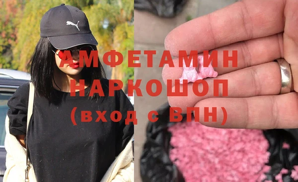 стаф Алзамай