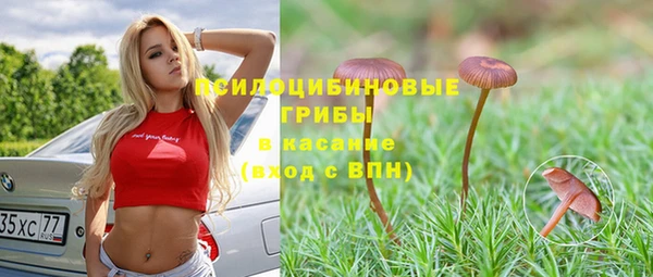 крисы Алексеевка